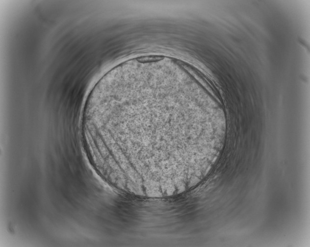 X0000096681536200803041230