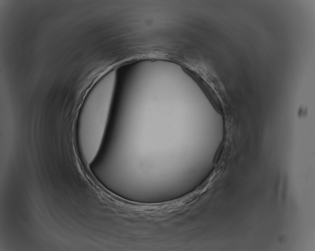 X0000096690001200802051048