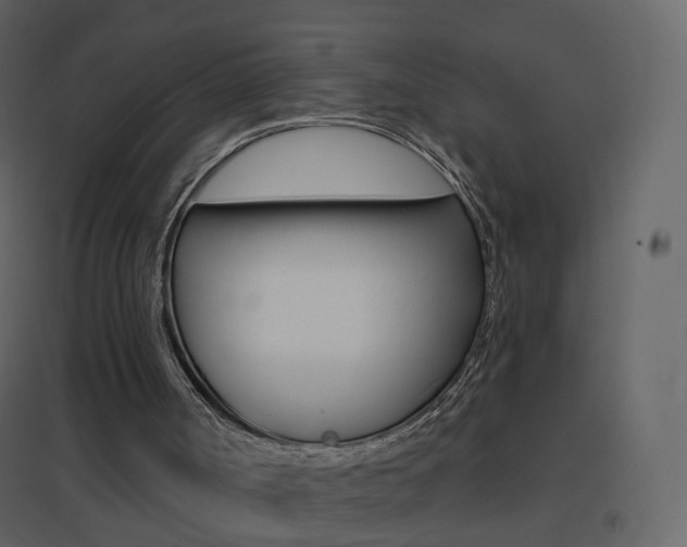X0000096690002200802051048