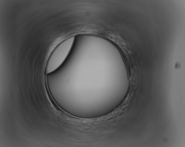 X0000096690003200802051048