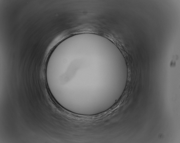 X0000096690004200802051048