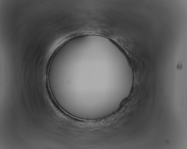 X0000096690005200802051048