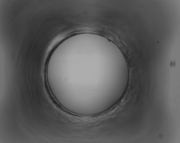X0000096690006200802051048