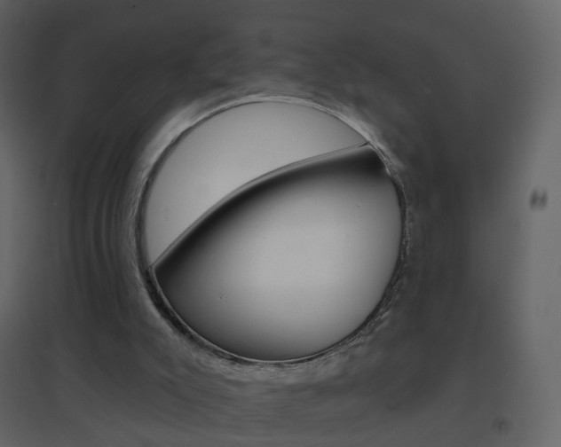 X0000096690007200802051048