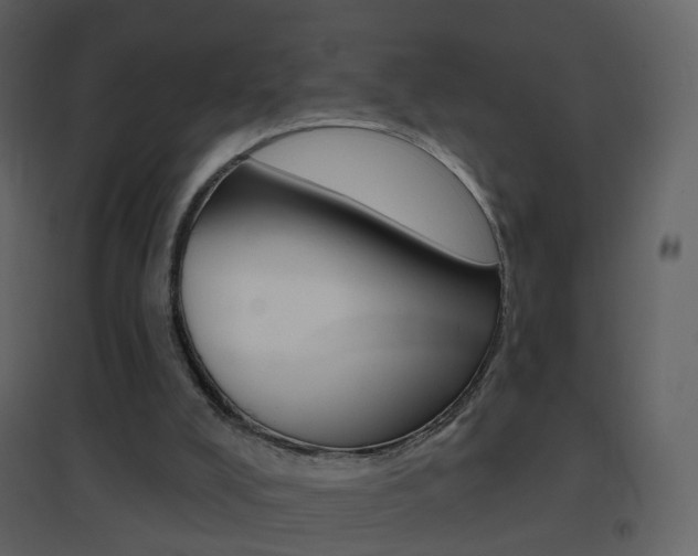 X0000096690008200802051048