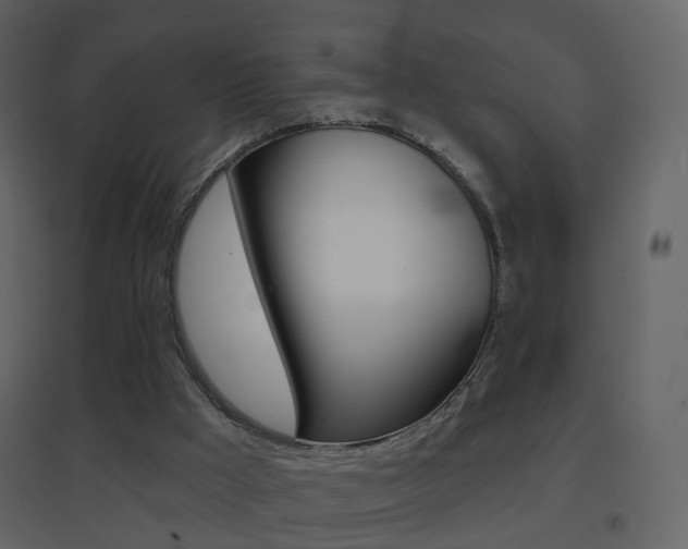 X0000096690009200802051048
