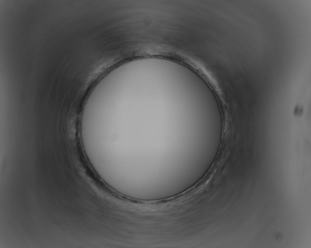 X0000096690010200802051048