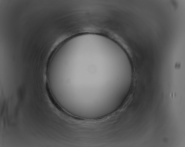 X0000096690011200802051048