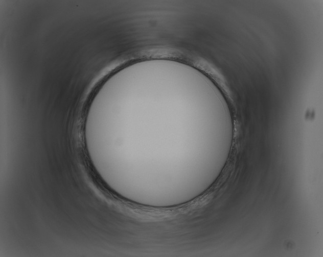 X0000096690012200802051048