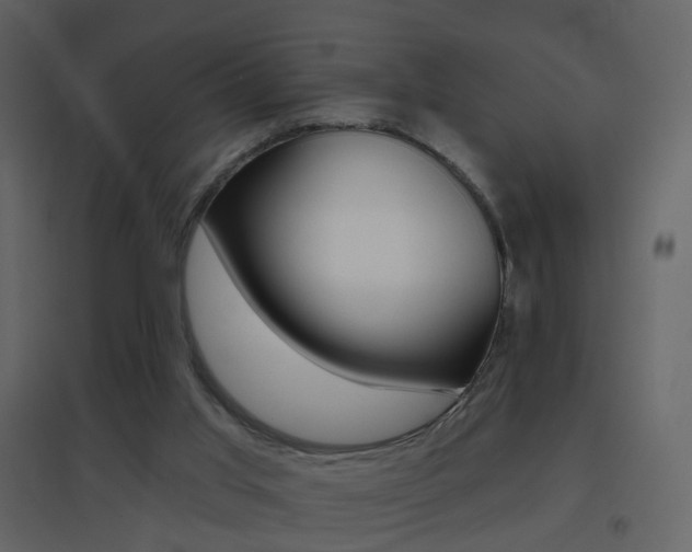 X0000096690013200802051048