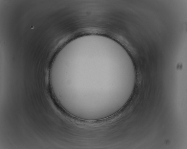 X0000096690014200802051048