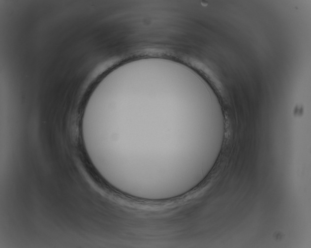 X0000096690016200802051048
