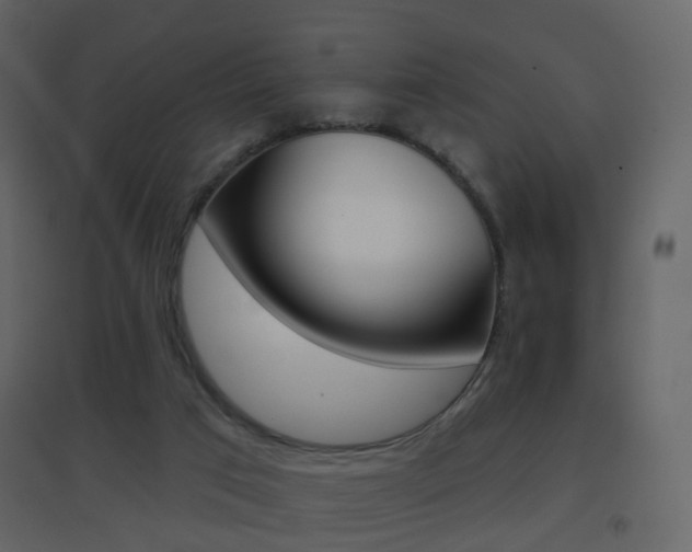 X0000096690017200802051048