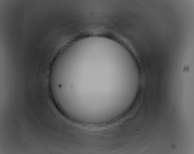 X0000096690018200802051048