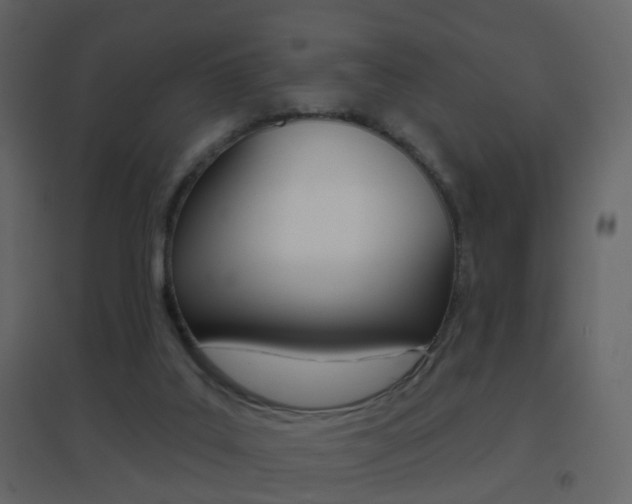 X0000096690019200802051048