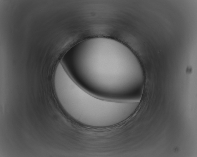 X0000096690021200802051048