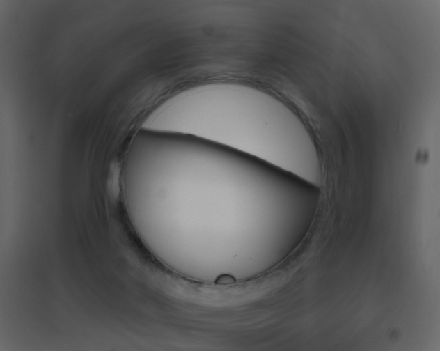 X0000096690022200802051048