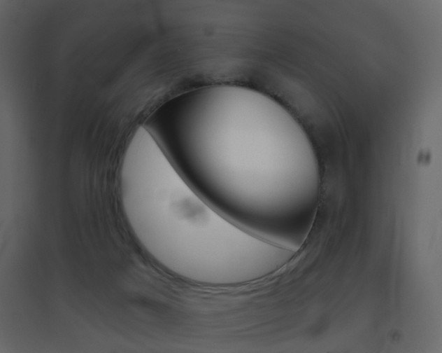 X0000096690025200802051048
