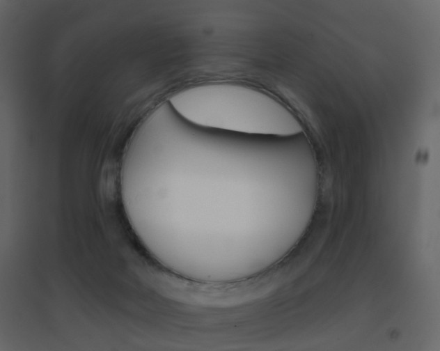 X0000096690026200802051048