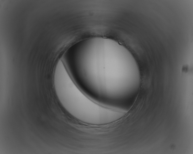 X0000096690027200802051048
