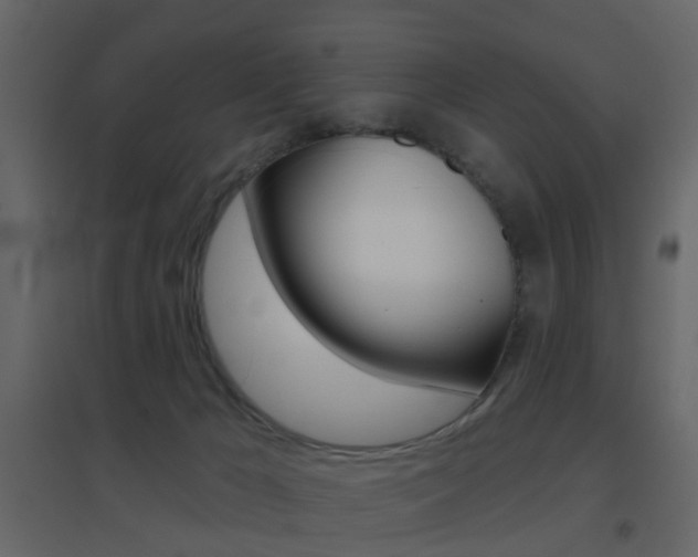 X0000096690029200802051048