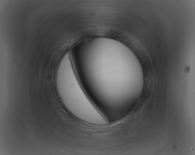 X0000096690031200802051048