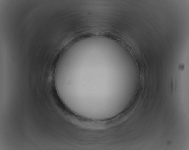 X0000096690032200802051048