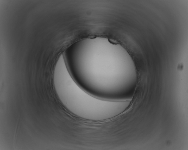 X0000096690033200802051048