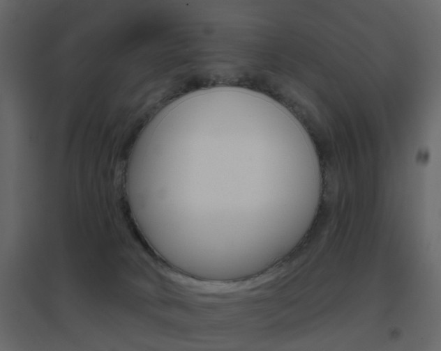 X0000096690034200802051048