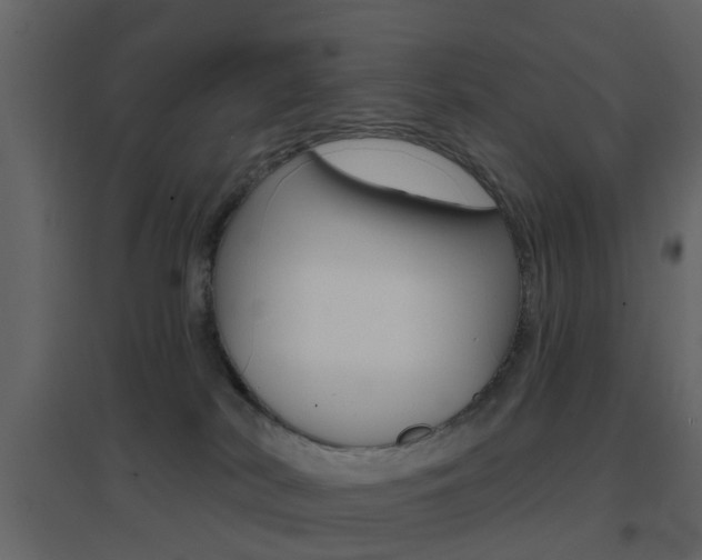 X0000096690038200802051048