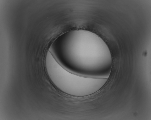 X0000096690039200802051048