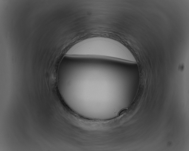 X0000096690040200802051048