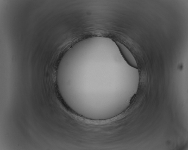 X0000096690043200802051048