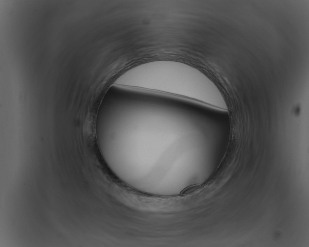 X0000096690044200802051048