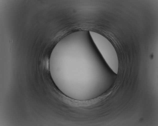 X0000096690046200802051048