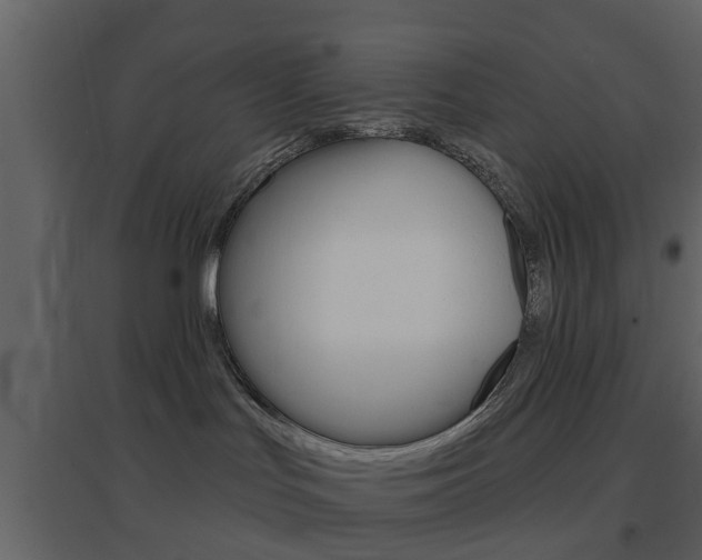 X0000096690047200802051048