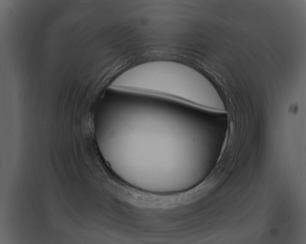 X0000096690048200802051048