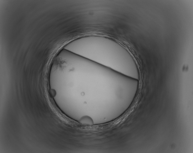 X0000096690049200802051047