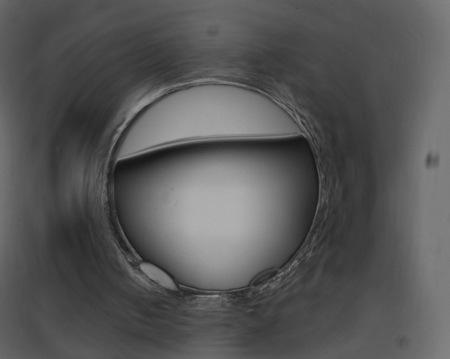 X0000096690050200802051047