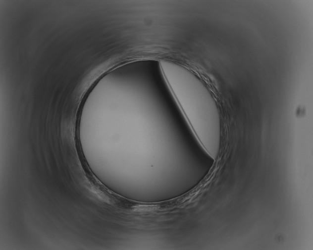 X0000096690051200802051047