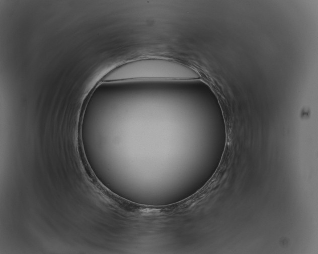 X0000096690052200802051047