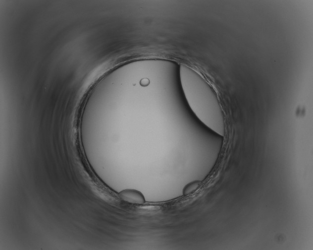 X0000096690053200802051047