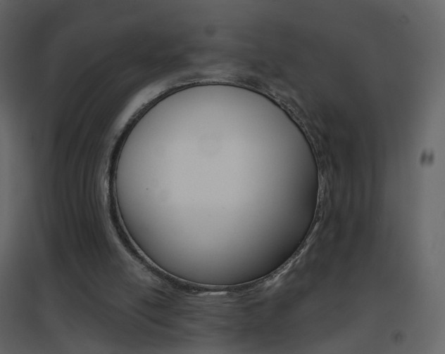 X0000096690054200802051047