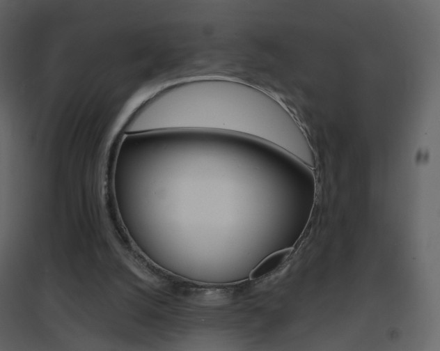 X0000096690056200802051047
