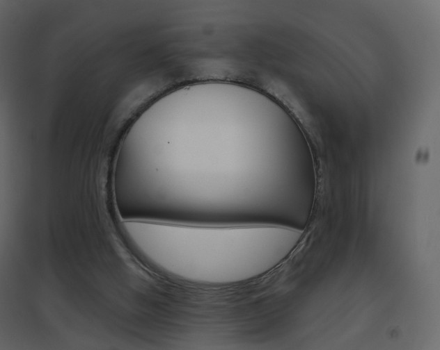 X0000096690058200802051047