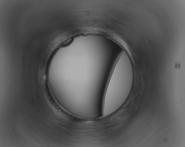 X0000096690059200802051047