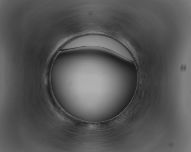 X0000096690060200802051047