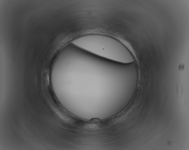 X0000096690061200802051047
