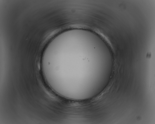 X0000096690062200802051047