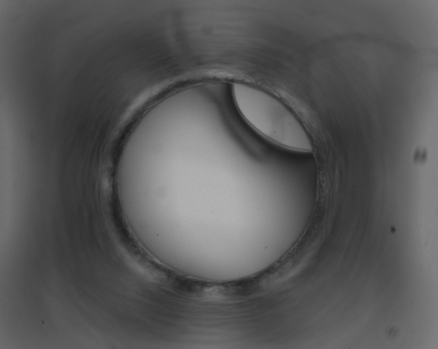 X0000096690064200802051047